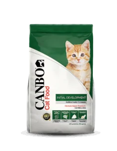 CANBO - GATITOS KITTEN INITIAL DEVELOPMENT
