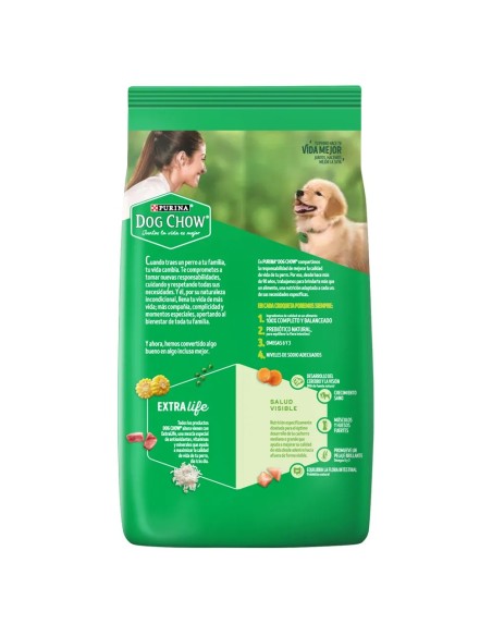 DOG CHOW CACHORRO RZA MED. GRANDE X 17 KG