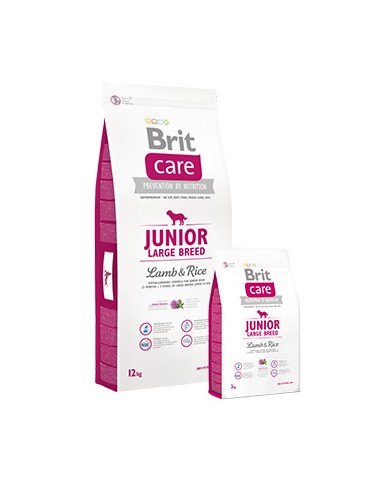 BRIT CARE -  JUNIOR LARGE BREED LAMB & RICE - CANINE