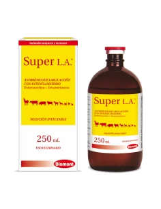 SUPER L.A. 2