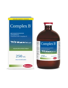 COMPLEX B 2