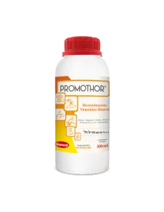 PROMOTHOR