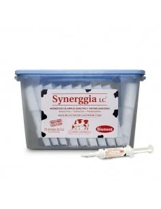 SYNERGGIA LC