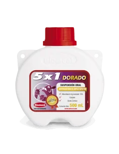 5X1 DORADO