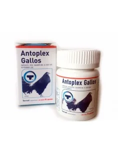 ANTOPLEX X 90 CAP