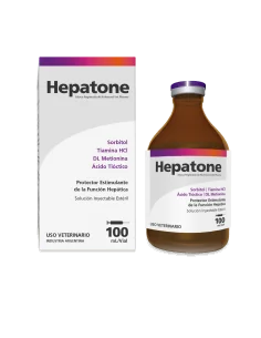 HEPATONE X 100 ML