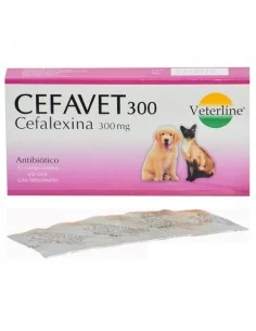 CEFAVET 300 x 32 tab