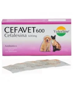 CEFAVET 600