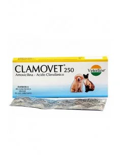 CLAMOVET 250 MG x 40 tab