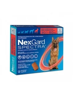 NEXGARD SPECTRA 30.1kg-60kg x 1 comprimido