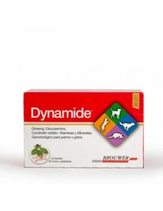 DYNAMIDE X 30 COMPRIMIDO