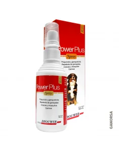 POWER PLUS SPRAY 100 ML