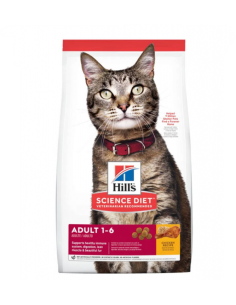 ADULTO 1-6 FELINE